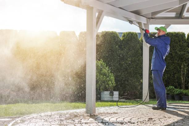Best Soft Washing  in Cohoes, NY