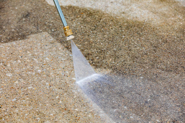 Best Gutter Cleaning  in Cohoes, NY
