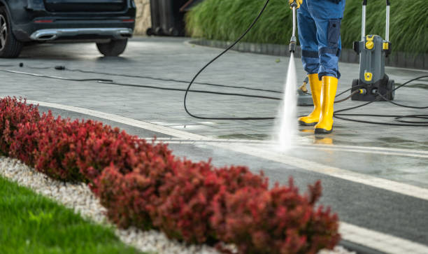 Best Driveway Pressure Washing  in Cohoes, NY
